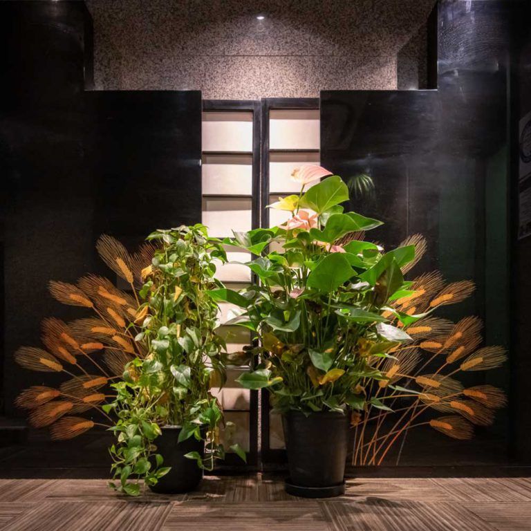 １階エントランス - ゆとりある広さの、落ち着いた空間です